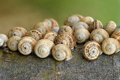 《辐射76》玩家数已突破1700万 明年更新计划公布